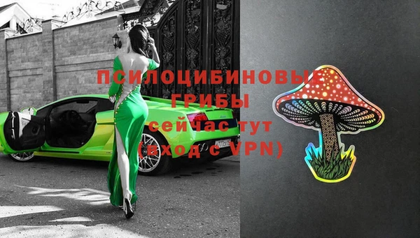 ешки Алексин