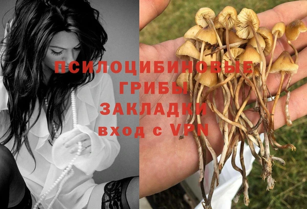 таблы Алексеевка