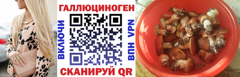 Псилоцибиновые грибы мицелий Сим